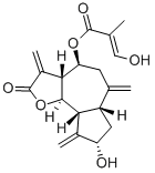 Structural Formula